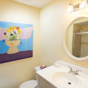 solatube bathroom