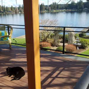 glass railing