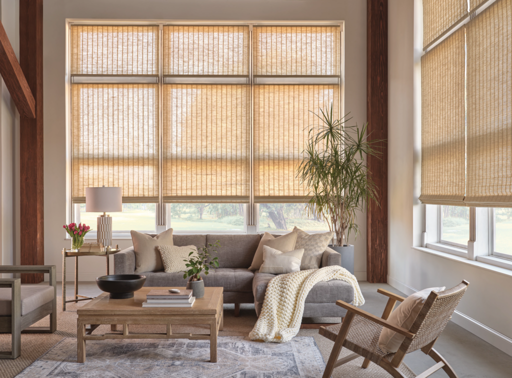 Modern Living room with beige interior shades