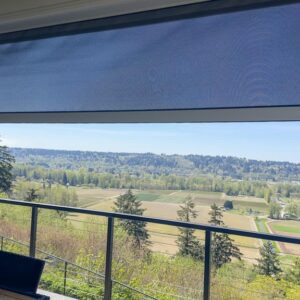 Motorized screen/outdoor solar shade in Bonney Lake