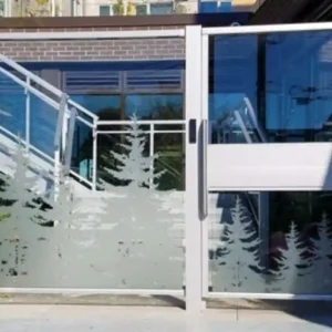 Custom gate and fencing design with glass