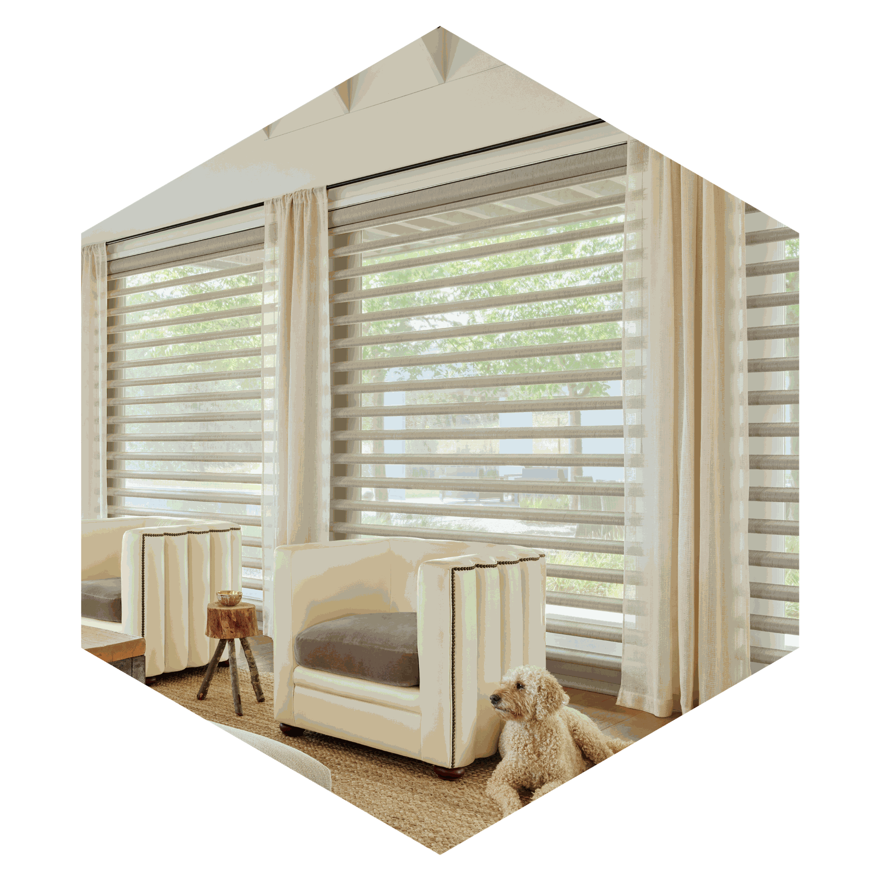 Large-Hex-2_Hunter-Douglas